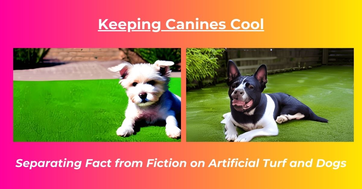 You are currently viewing Is artificial grass too hot for dogs?