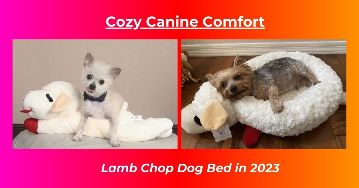 Read more about the article Lamb Chop Dog Bed Review 2023