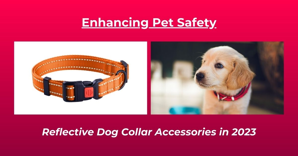 Read more about the article Reflectors for Dog Collars In 2023