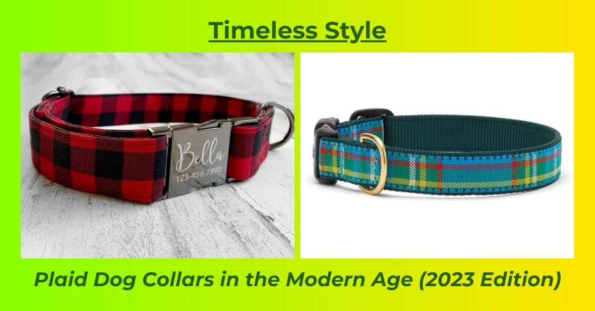 You are currently viewing Plaid dog collars in 2023
