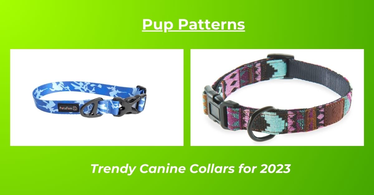 You are currently viewing Camo Dog Collars in 2023