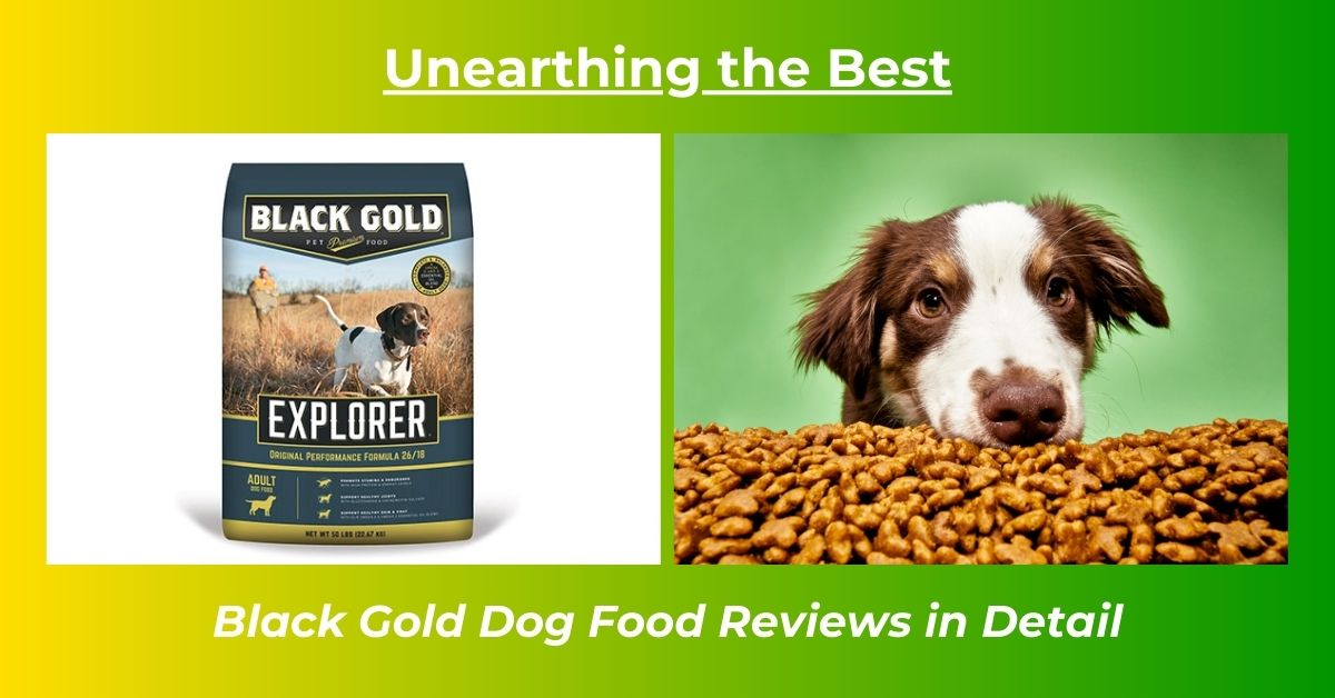 You are currently viewing Black Gold Dog Food Reviews: A Comprehensive Analysis