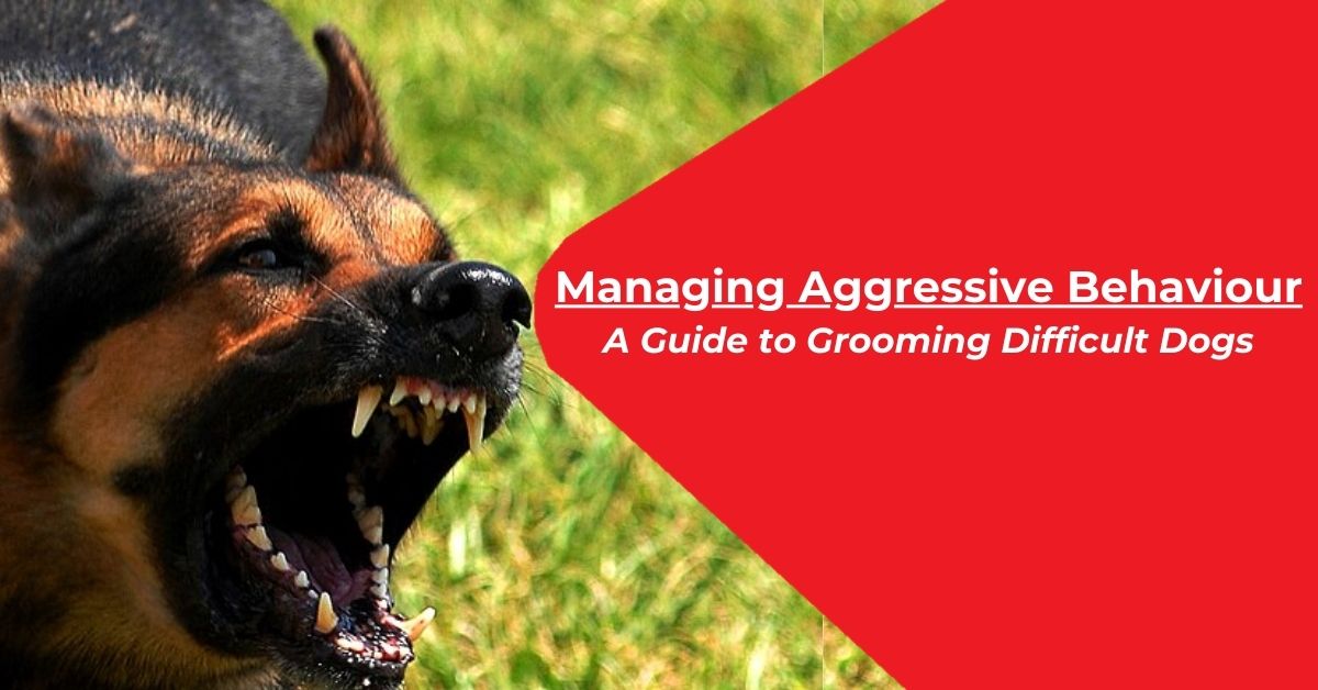 You are currently viewing How to groom an aggressive dog?