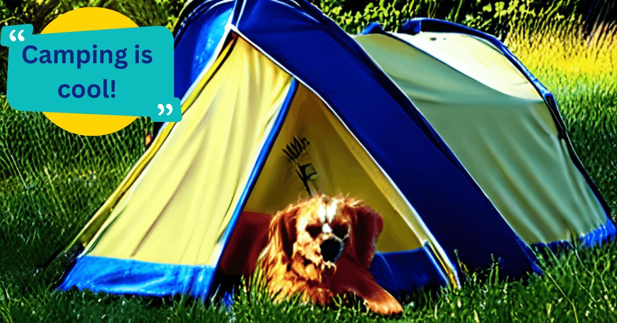 You are currently viewing How to keep dogs cool while camping?