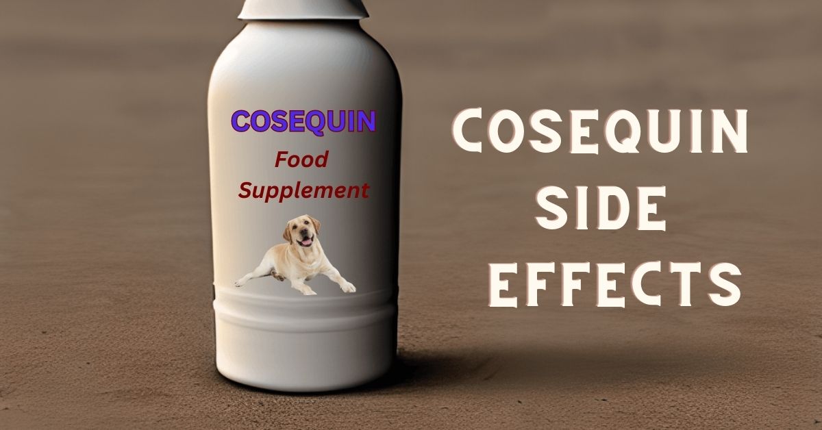 You are currently viewing Does cosequin make dogs pee more?