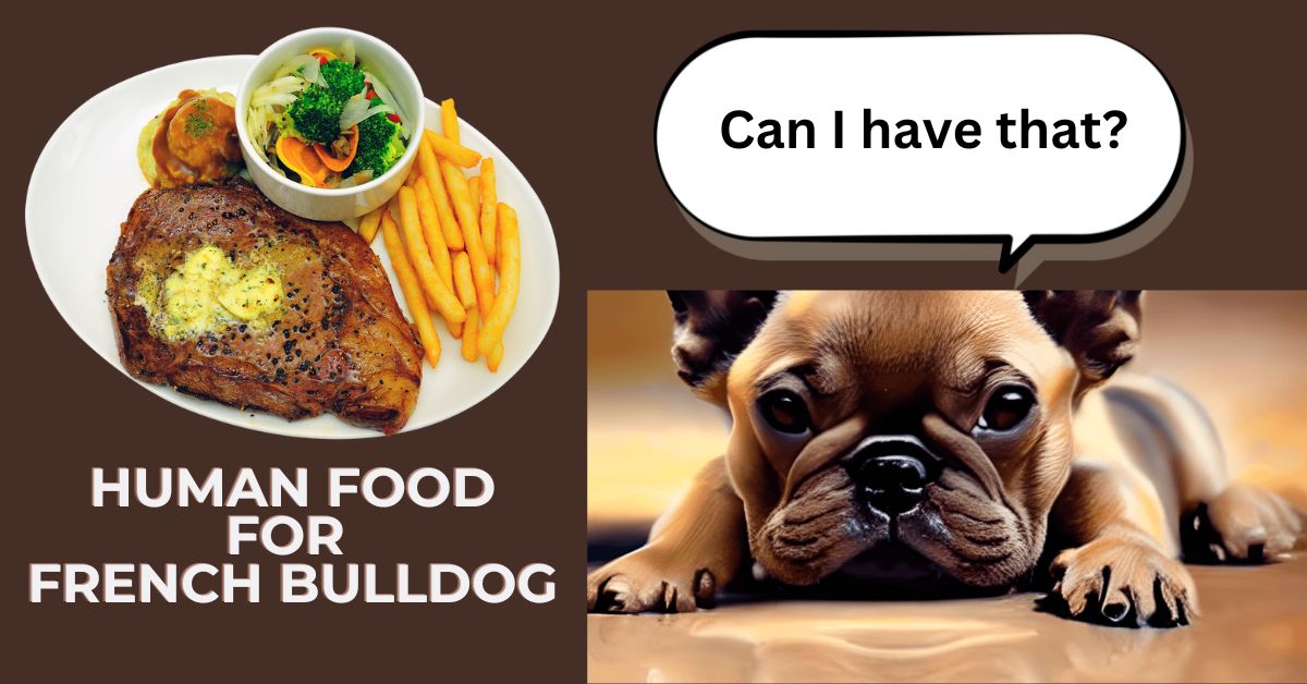 Read more about the article What Human Foods Can French Bulldogs Eat?