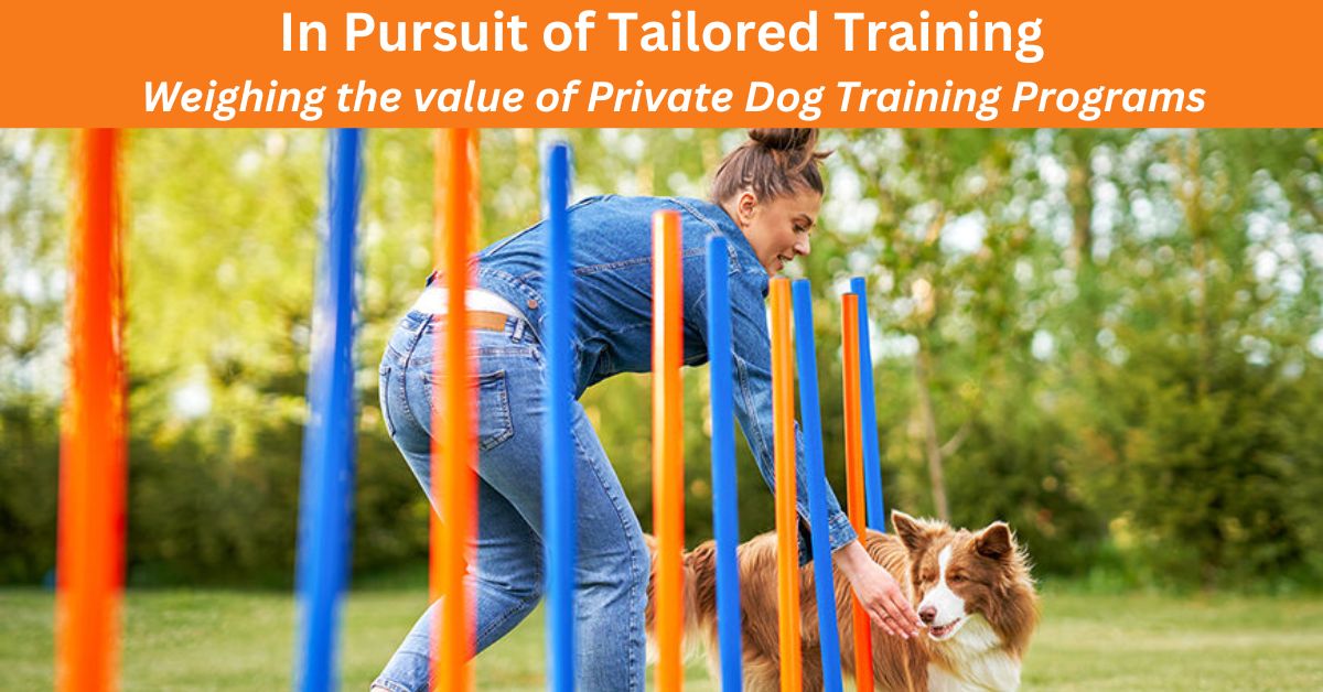 You are currently viewing is Private Dog Training worth it?