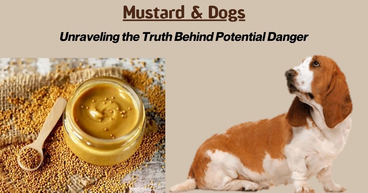 You are currently viewing Can mustard kill dogs?