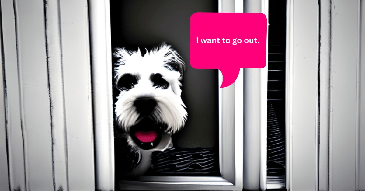 Read more about the article How to stop dogs from opening doors?