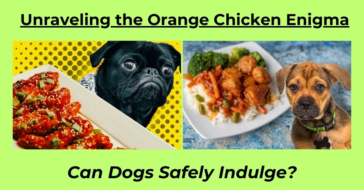You are currently viewing Can Dogs Eat Orange Chicken? Understanding the Risk and Benefits